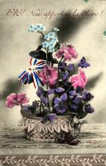 ouvrir dans la visionneuse : 1 vue 1916