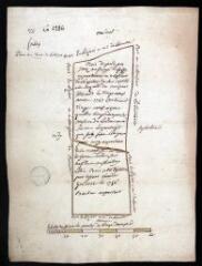 1 vue Bois du Petit-Pas situé au finage de Foissy, appartenant à messieurs du chapitre de Sens