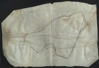 1 vue Plan et figure de la pièce de bois taillis appartenant à Messieurs les vénérables doyen, chanoines et chapitre de l'église cathédrale de Saint-Étienne d'Auxerre, assise au finage et justice de Monéteau, vulgairement appellé les Bois de Montaigu