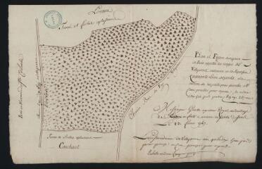 1 vue Plan et figure d'une pièce de bois appelée les usages de Villeperrot / Gondet, arpenteur royal.