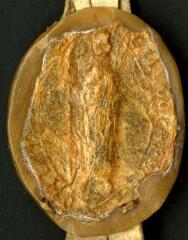 1 vue Sceau de Girard, abbé de Pontigny