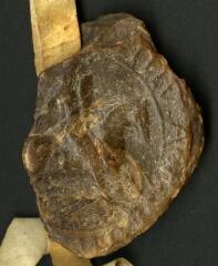 1 vue Sceau d'Aswalo II, seigneur de Seignelay