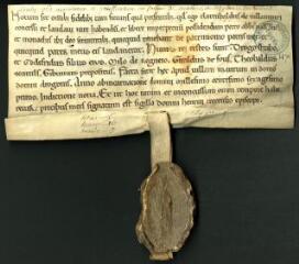 2 vues Confirmation par Henri, évêque de Troyes, de la donation faite par Clarembaud de Villemaur à Pierre, abbé de Vauluisant (1161).