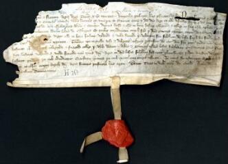 2 vues Arrêt de la cour des Grand Jours de Troyes entre les religieux de Vauluisant et les gruyers de Champagne, maintenant les religieux dans leurs droits de cueillir et faire cueillir la fauche des bois des Sièges.